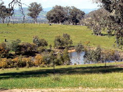 Gaddleen Grove Cottages - Schoolies Week Accommodation 5