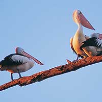 Matahari Houseboats - Schoolies Week Accommodation 1