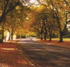La Trobe at Beechworth - Schoolies Week Accommodation