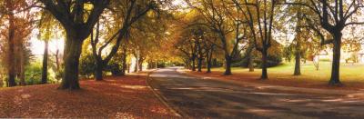 La Trobe At Beechworth - Schoolies Week Accommodation 0