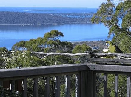 Bed in the Treetops - Schoolies Week Accommodation