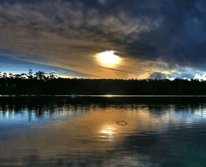 Lake Yalleena Cabins - Schoolies Week Accommodation 3