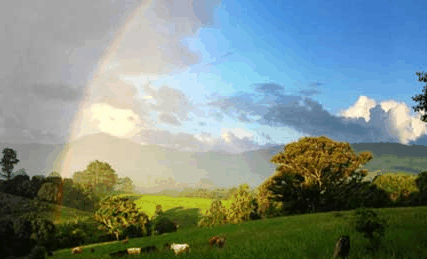 Nimbin Rox YHA - Schoolies Week Accommodation 3