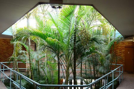 Bankstown Motel 10 - Schoolies Week Accommodation 5