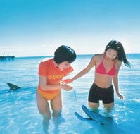 Kookaburra Air - Schoolies Week Accommodation
