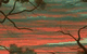 Greenhill Galleries - thumb 2