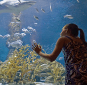 The Aquarium of Western Australia - Schoolies Week Accommodation