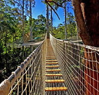 Thunderbird Park - Schoolies Week Accommodation