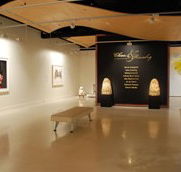 Counihan Gallery In Brunswick - Schoolies Week Accommodation
