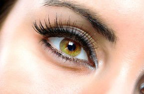 Beauty On Ryrie - Schoolies Week Accommodation 1