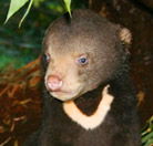 Perth Zoo - Schoolies Week Accommodation