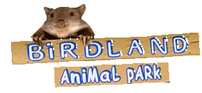 Birdland Animal Park - Schoolies Week Accommodation