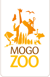 Mogo Zoo - Schoolies Week Accommodation