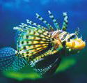 Underwater World - Schoolies Week Accommodation