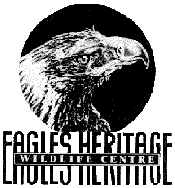 Eagles Heritage - Schoolies Week Accommodation