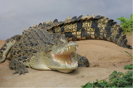  Schoolies Week Accommodation