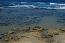 Braddon ACT Schoolies Week Accommodation