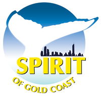 Spirit of Gold Coast Whale Watching - Schoolies Week Accommodation