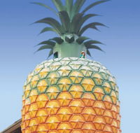 The Big Pineapple - Schoolies Week Accommodation