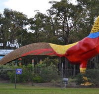 Gumbuya Park - Schoolies Week Accommodation