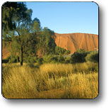  Schoolies Week Accommodation