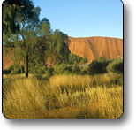 Uluru - Kata Tjuta National Park - Schoolies Week Accommodation
