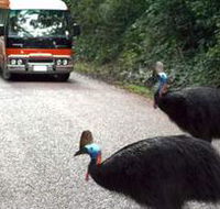 Kookaburra Tours - Schoolies Week Accommodation