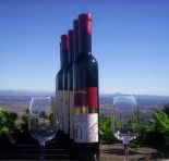 Mount Tamborine Winery  Homestead - Schoolies Week Accommodation