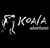 Koala Adventures - Schoolies Week Accommodation