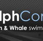 Dolphcom - Dolphin  Whale Swimming Adventures - Schoolies Week Accommodation