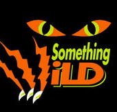Something Wild - Schoolies Week Accommodation