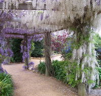 Abingdon Miniature Village - Schoolies Week Accommodation