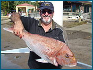 Odyssey Charters - Schoolies Week Accommodation 1
