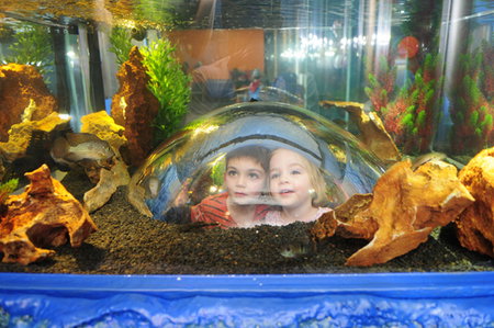 Scitech - Schoolies Week Accommodation 3