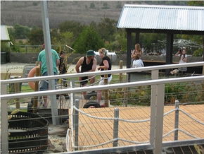  Schoolies Week Accommodation