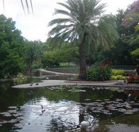Brisbane City Botanic Gardens - Schoolies Week Accommodation