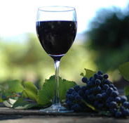 Lion Mill Vineyards - Schoolies Week Accommodation