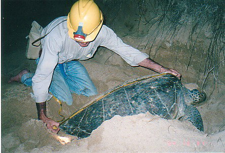 Footprints Adventures - Schoolies Week Accommodation 2