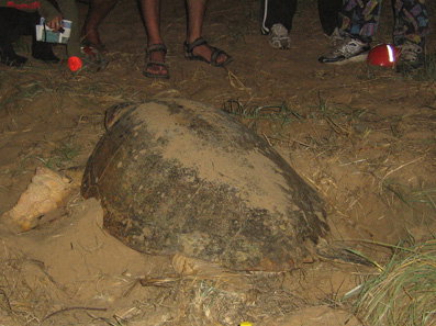 Footprints Adventures - Schoolies Week Accommodation 3