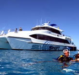Silver Swift - Schoolies Week Accommodation