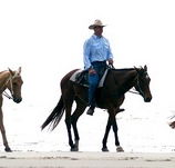 Ride the Beach - Schoolies Week Accommodation