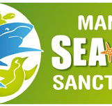 Manly SEA LIFE Sanctuary - Schoolies Week Accommodation