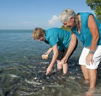 Aquascene Fish Feeding Sanctuary - Schoolies Week Accommodation