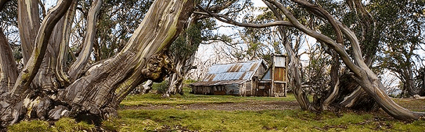 High Country Scenic Tours - Schoolies Week Accommodation
