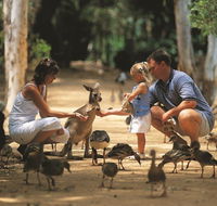 Billabong Sanctuary - Schoolies Week Accommodation