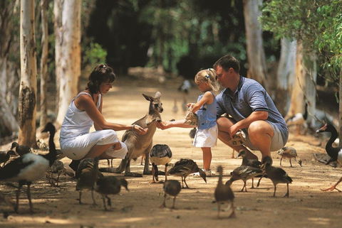 Billabong Sanctuary - Schoolies Week Accommodation 0