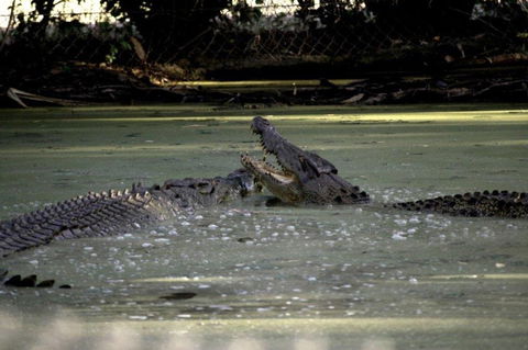 Billabong Sanctuary - Schoolies Week Accommodation 3