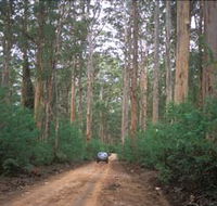 Boranup Drive - Schoolies Week Accommodation