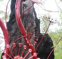 Understory Art In Nature - Schoolies Week Accommodation