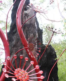 Understory Art In Nature - Schoolies Week Accommodation 0